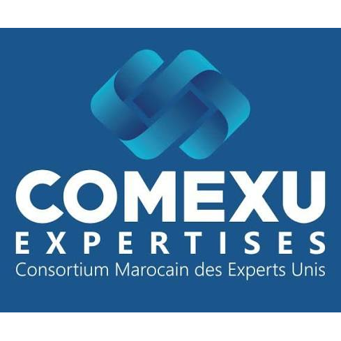 COMEXU  EXPERTISES